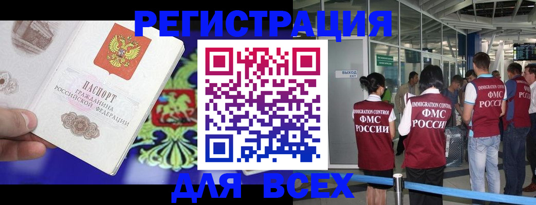 прописка поиск в Купино